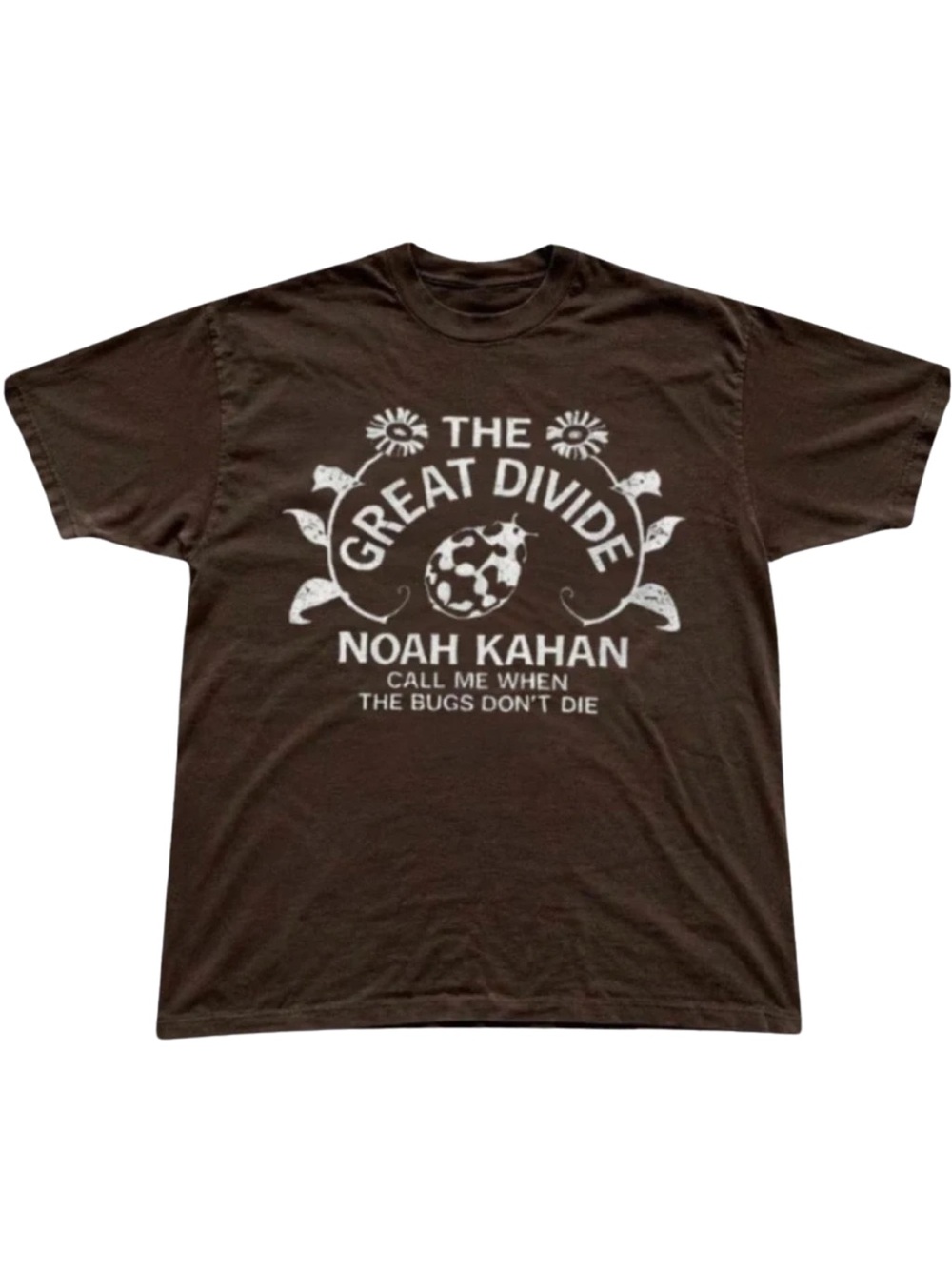 Gildan The Great Divide Brown Graphic Tee